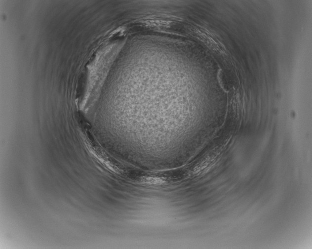 X0000085820649200703301554