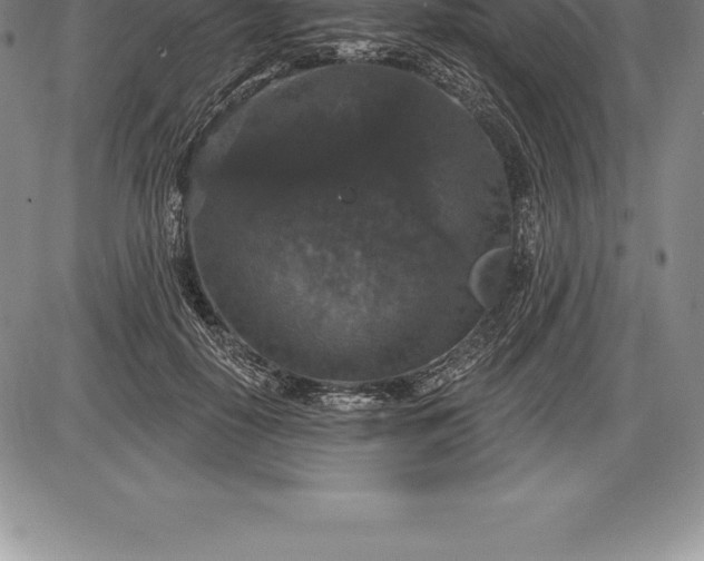 X0000085820650200703301554