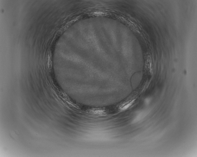 X0000085820651200703301554