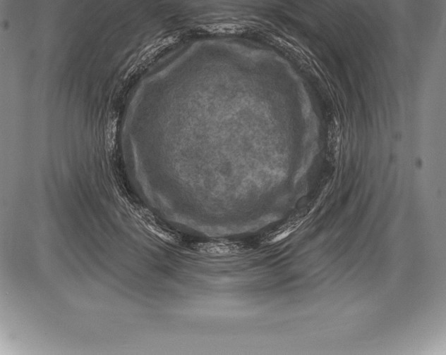 X0000085820652200703301554