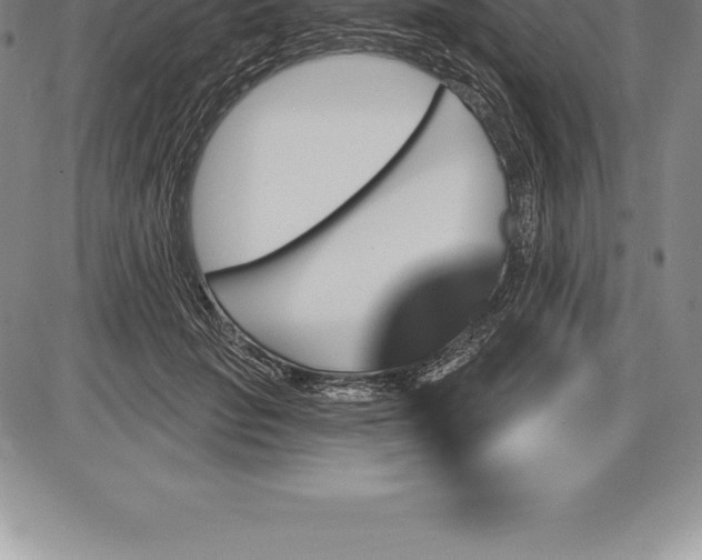 X0000085820653200703301554