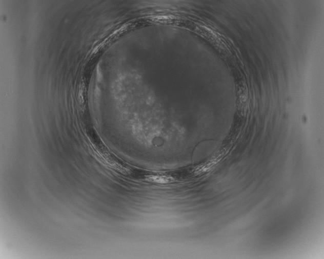 X0000085820654200703301554