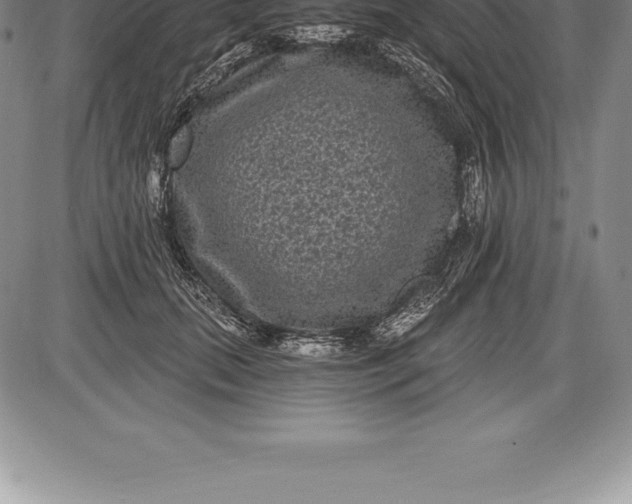 X0000085820655200703301554