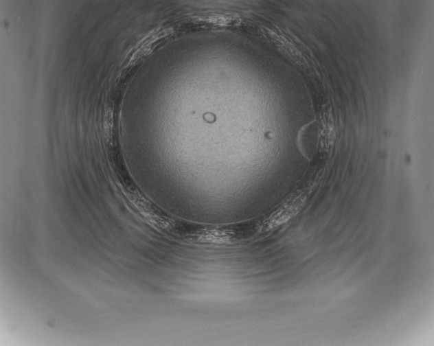 X0000085820656200703301555