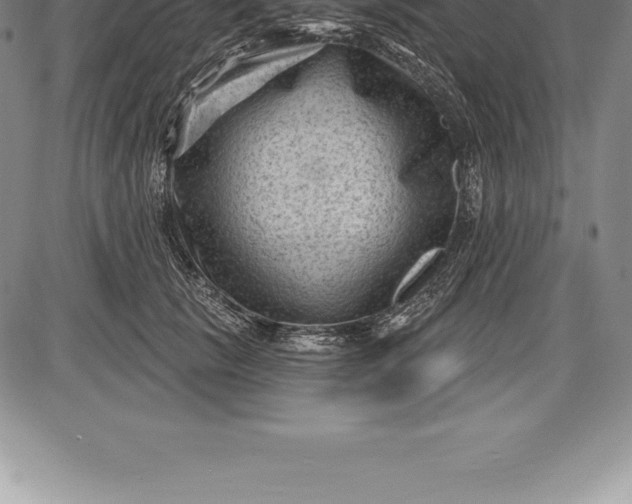 X0000085820657200703301555