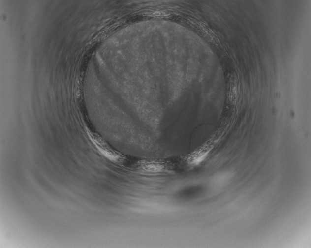 X0000085820658200703301555