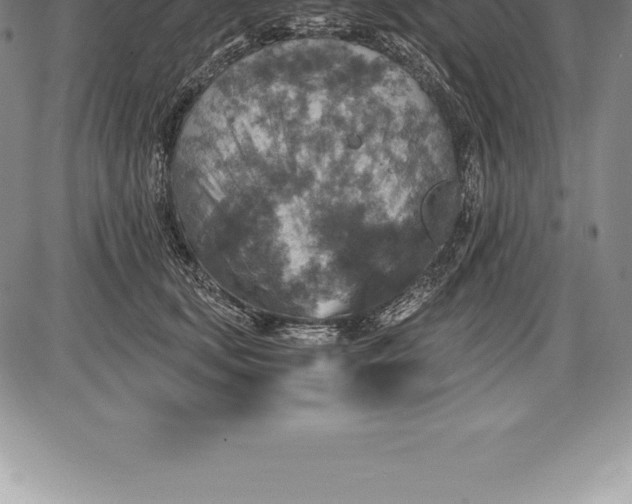 X0000085820659200703301555