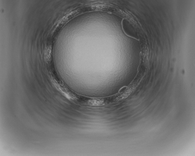 X0000085820660200703301555