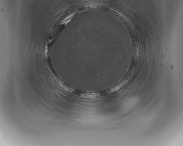 X0000085820661200703301555