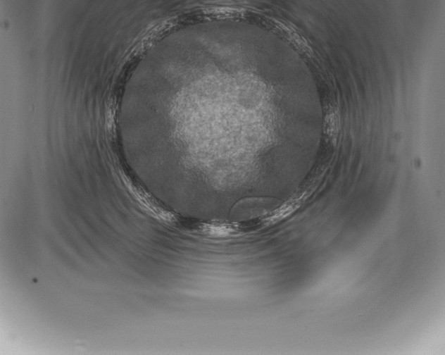 X0000085820662200703301555