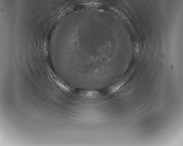 X0000085820663200703301555