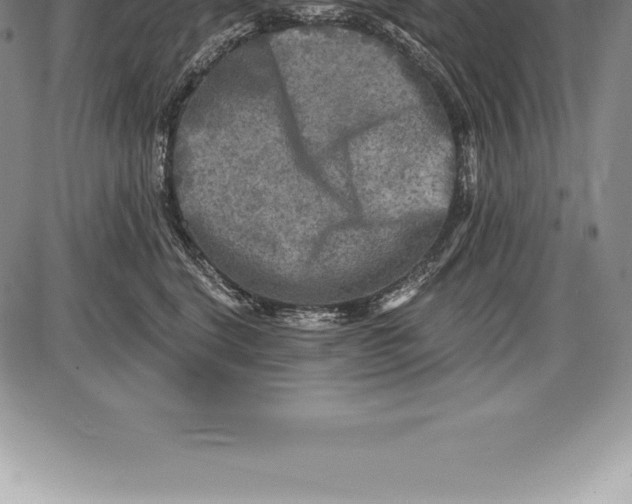 X0000085820664200703301555