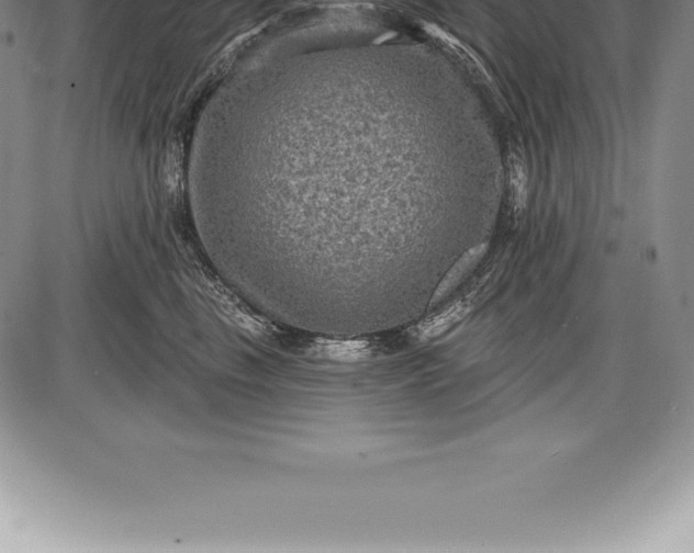 X0000085820665200703301555