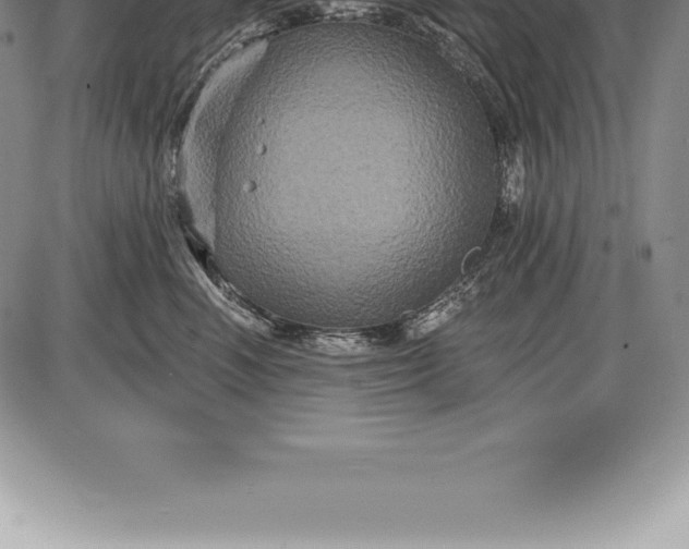 X0000085820666200703301555