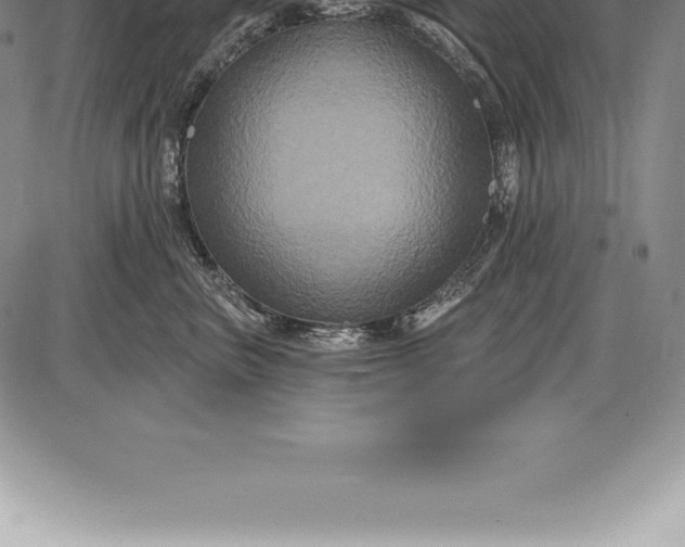 X0000085820667200703301555