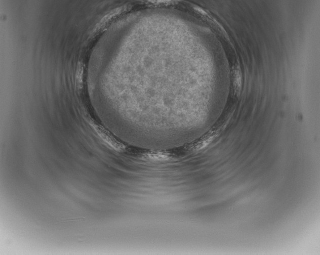 X0000085820668200703301555