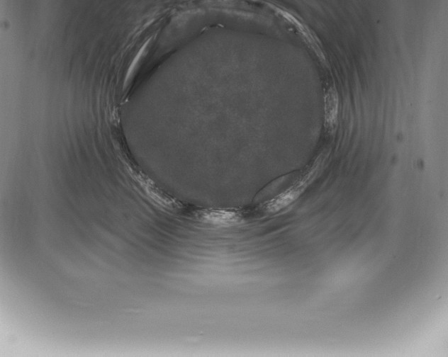 X0000085820669200703301555