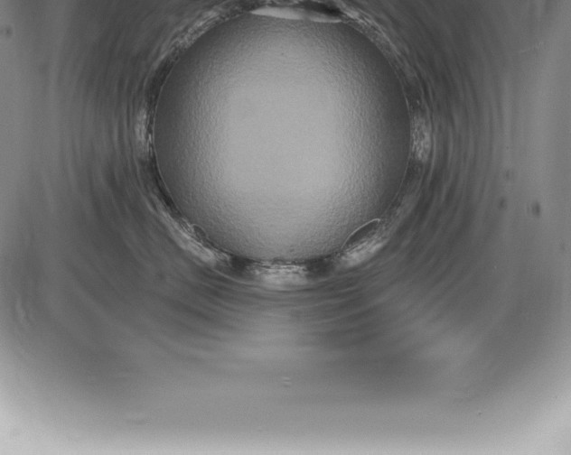 X0000085820670200703301555