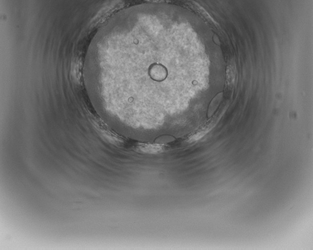 X0000085820671200703301555