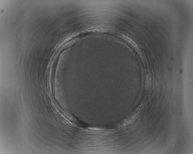 X0000085820673200703301554