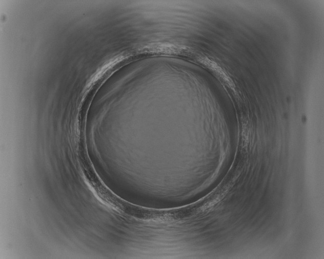 X0000085820674200703301554