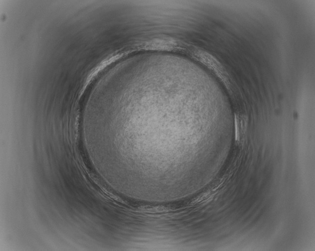 X0000085820675200703301554