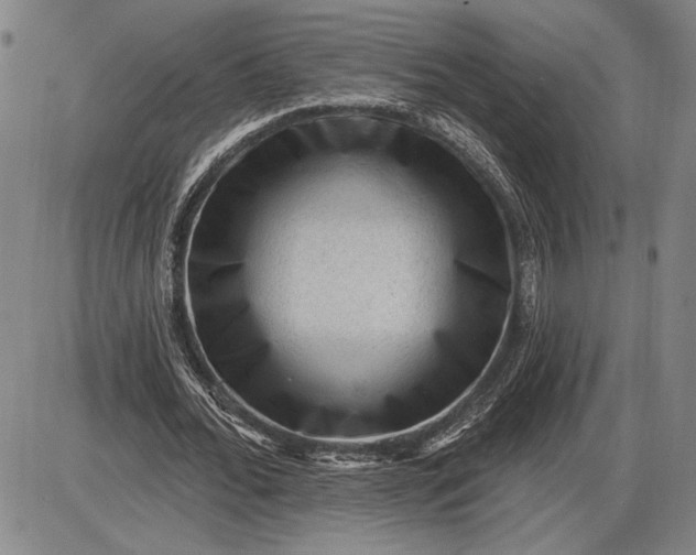 X0000085820676200703301554