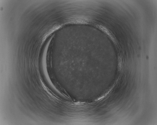 X0000085820677200703301554