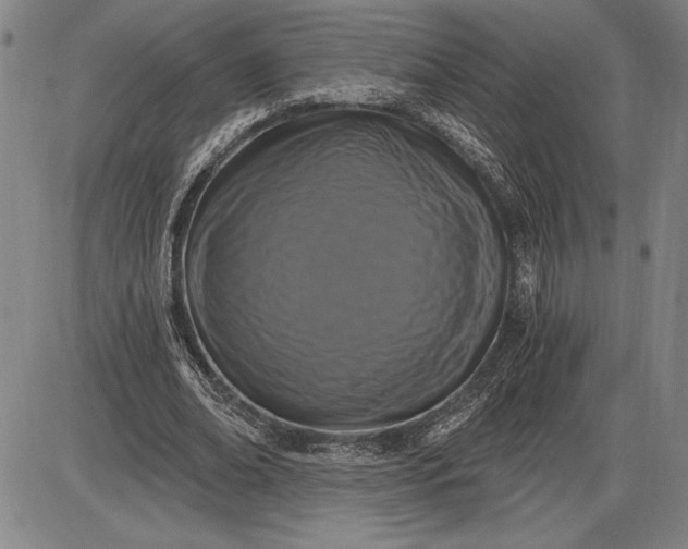 X0000085820678200703301554