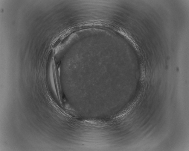 X0000085820681200703301554