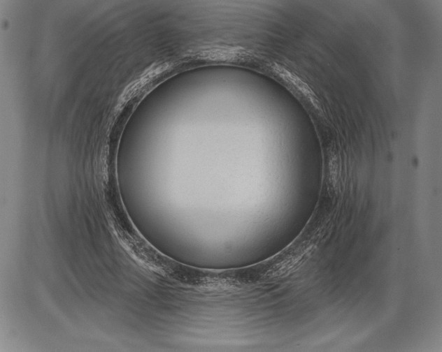 X0000085820682200703301554