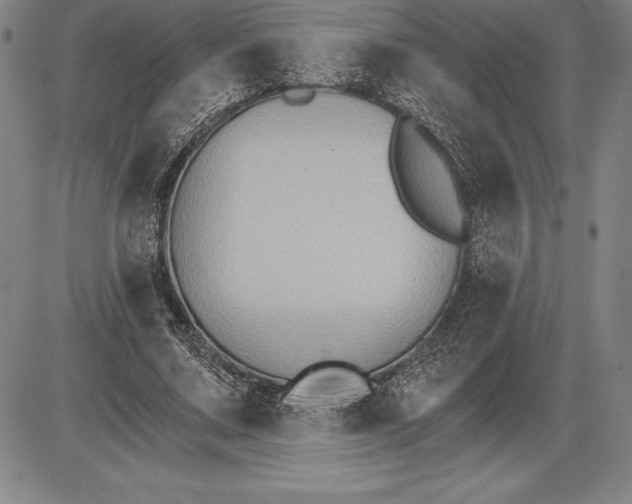 X0000085820683200703301554