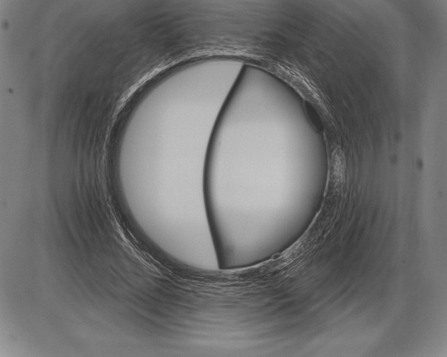 X0000085820684200703301554