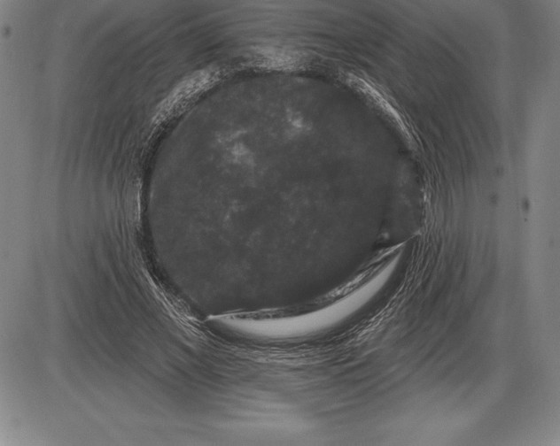 X0000085820685200703301554