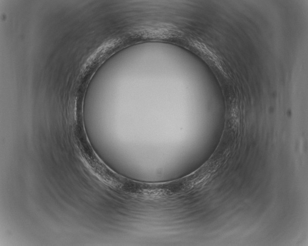 X0000085820686200703301554