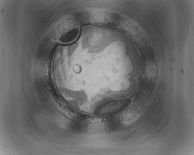 X0000085820687200703301554