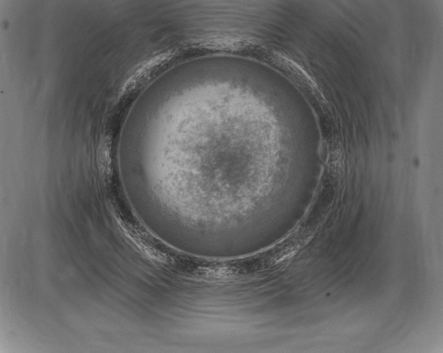 X0000085820688200703301554