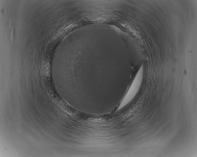 X0000085820689200703301554