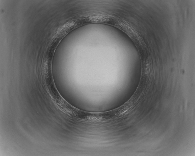 X0000085820690200703301554