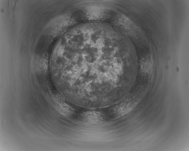 X0000085820691200703301554