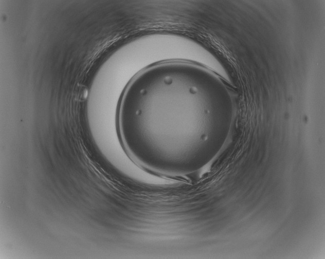 X0000085820692200703301554