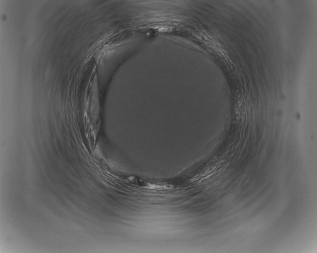 X0000085820693200703301554