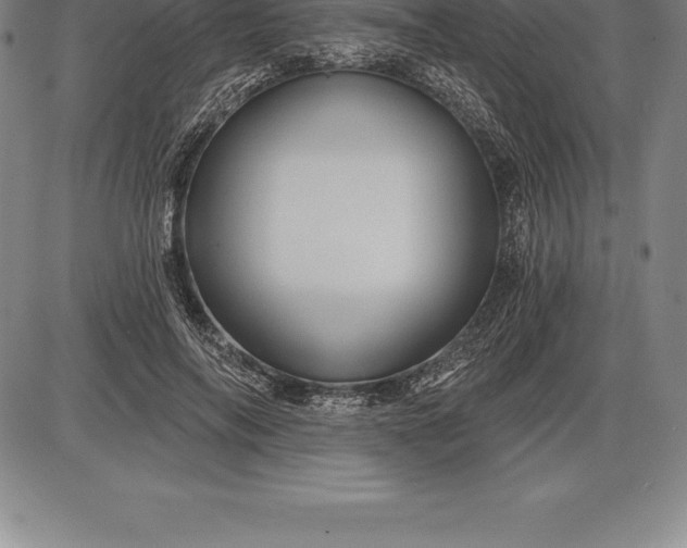 X0000085820694200703301554