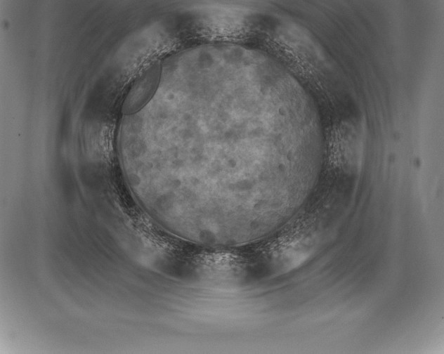 X0000085820695200703301554