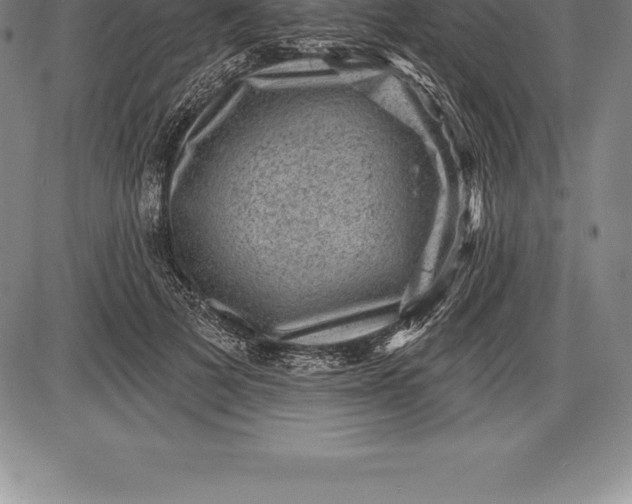 X0000085820697200703301554