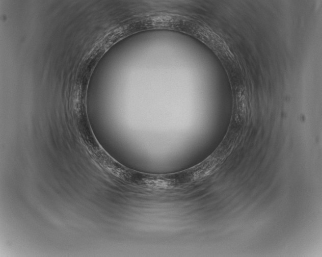 X0000085820698200703301554