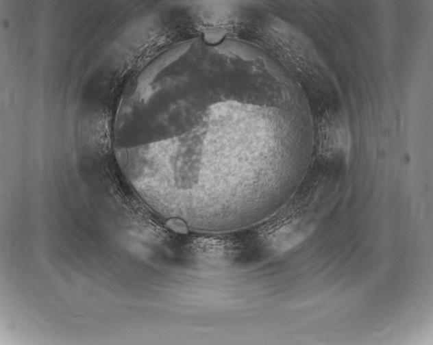 X0000085820699200703301554