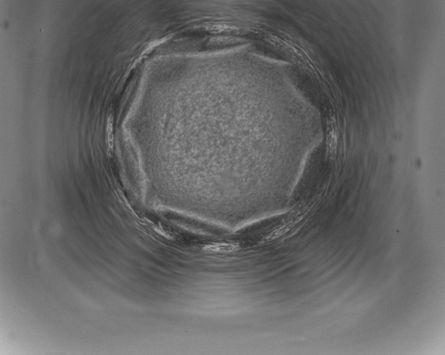 X0000085820700200703301554