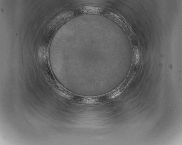 X0000085820701200703301554