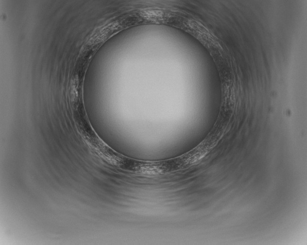 X0000085820702200703301553